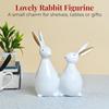 Cute White Rabbit Pair Showpiece – Decorative Bunny Figurines for Home, Bedroom, Living Room & Office Desk | Feng Shui Good Luck Gift,