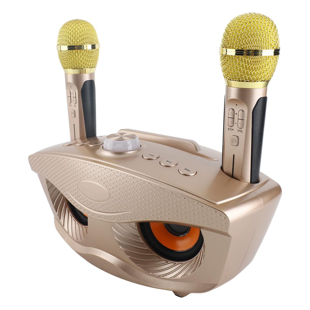 Speaker Home KTV Karaoke   Speaker with Two Microphone (Black)
