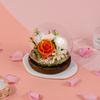 Yunnan Eternal Flower Spherical Glass Cover Rose Crystal Ball Birthday Teachers' Day Gift Ideas