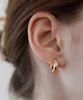 Tatiana (Silver 925) Crystal Inside Hoop Earrings Ec1972