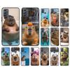 Animal Capybara Phone Case For Motorola Moto G85 G55 G05 G14 G75 G31 G50 G10 G20 G30 G60 G13 G32 G84 G54 G53 G72 G24 Power