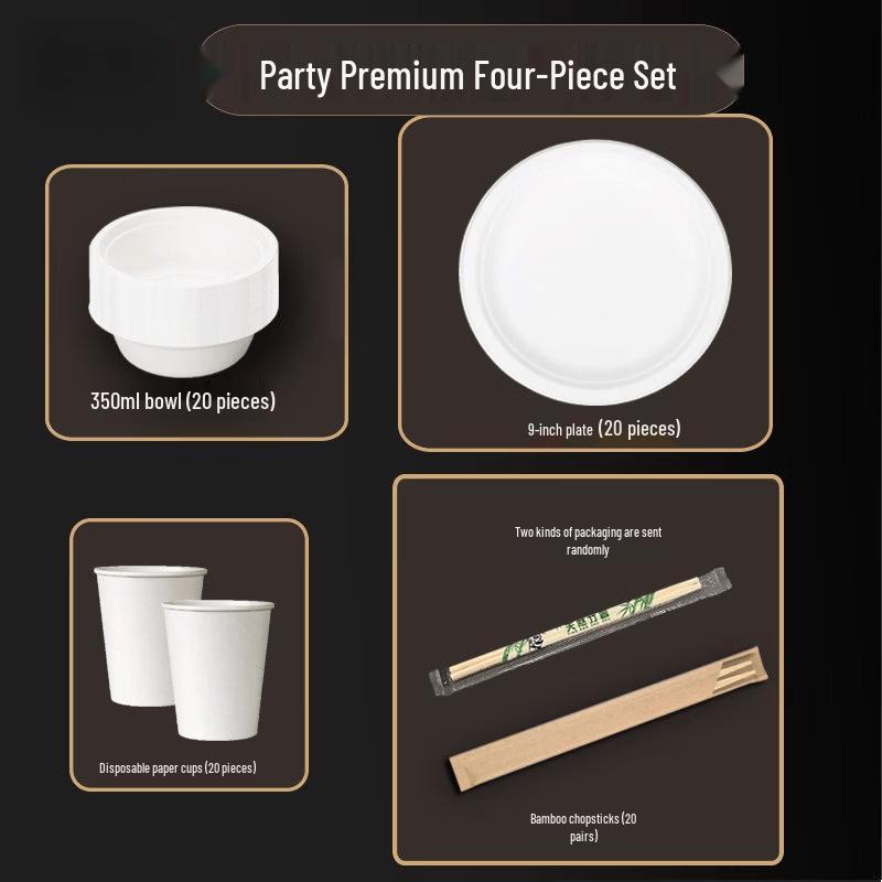 Disposable Picnic & BBQ Tableware Set