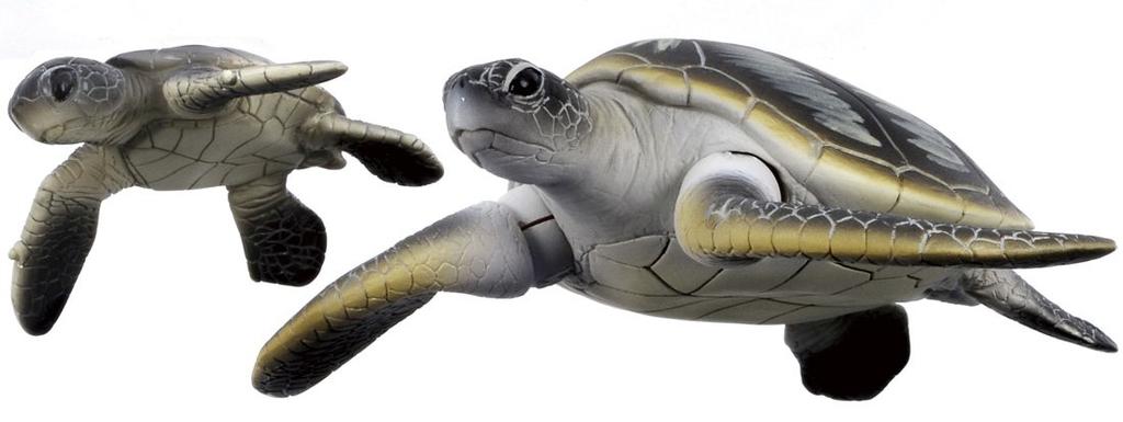 Takara Tomy Animal Marin Vert Dinosaure Figurine Mobile Réaliste Jouet 3 ans et plus Normes de Sécurité des Jouets Réussies Marque ST Certifiée ANIA TAKARA TOMY "ANIA"