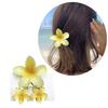 Bunte Gradienten Haarklammer Set Süße Blume Haarklammer Damen Stilvolle Haarspange für Damen und Mädchen Strand Accessoires