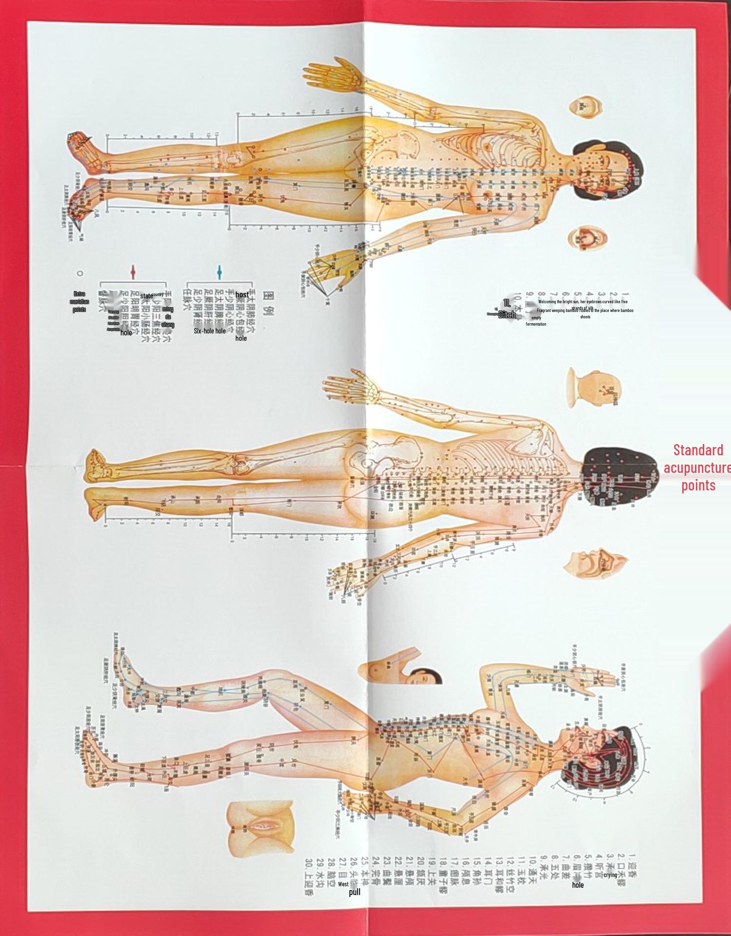 

Індивідуальна дошка Гуаша: Меридіанний скребок для обличчя, підйому підборіддя та прочищення - Трикутна та серцеподібна пластина з імітації рогу бика.