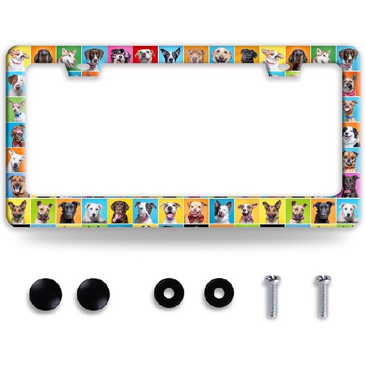 Queen Bee License Plate Frame Beautiful Butterfly Flower License Plate Holder Funny Stainless Steel Accessories Cars Decor with 2 Holes and Screws Dog