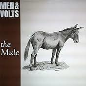 

LP Record MEN VOLTS The Mule SHMMY008 Shimmy Disc 1967 US Rock Used