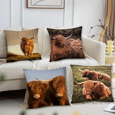 Scottish Highland Cattle Pillow Case Fashion Square Pillowcase Bedroom Sofa Room Ins Decoration Leisure Cushion Cover 40x40
