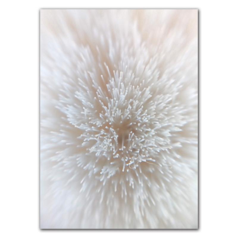 

Скандинавские красивые принты, пейзаж, растения, настенный художественный постер, пейзаж, холст, настенная картина, современная живопись, домашний декор HD3130 21x30cm no frame