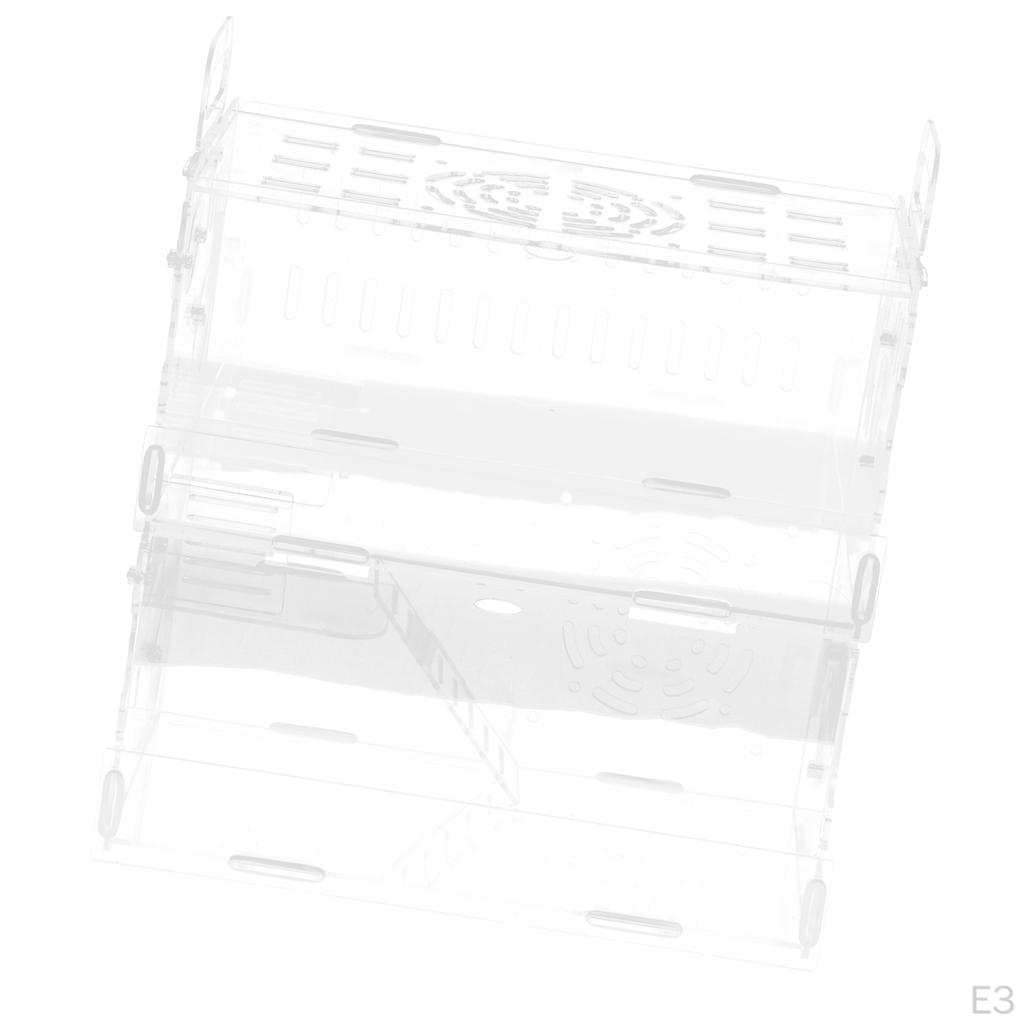 Reptile Terrarium Cage Tank Display Isopods Lizards Roach Invertebrates