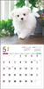 2024 Calendar Maltese (Seibundo Shinkosha Calendar)