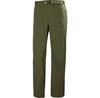 Брюки Helly Hansen Holmen Relaxed Pants (63468_431) Зеленый