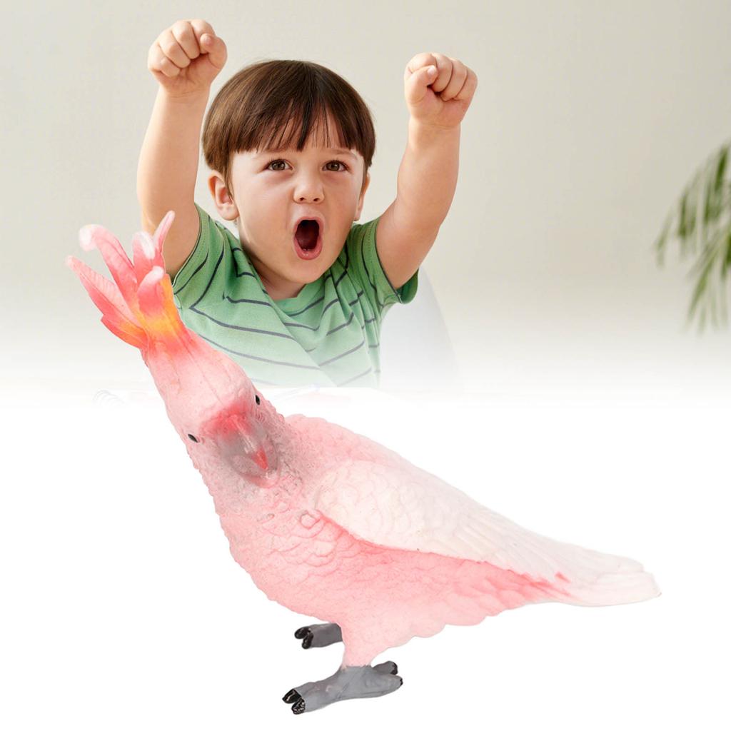 Simulated Bird Model Figure Children Static Bird Figurine Collection Educational Toy Birthday Gift