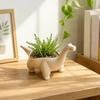 Desktop Decoration Dinosaur Flowerpot Funny Small Storage Container Plant Planting Pot  Balcony