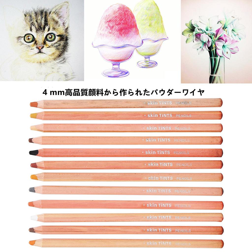 12 Zerodis Pastel Professional Color Charcoal Pencils Portrait Pastel Pencils for Layering and Pencils, Sketching, Shading, Coloring, Blending.
