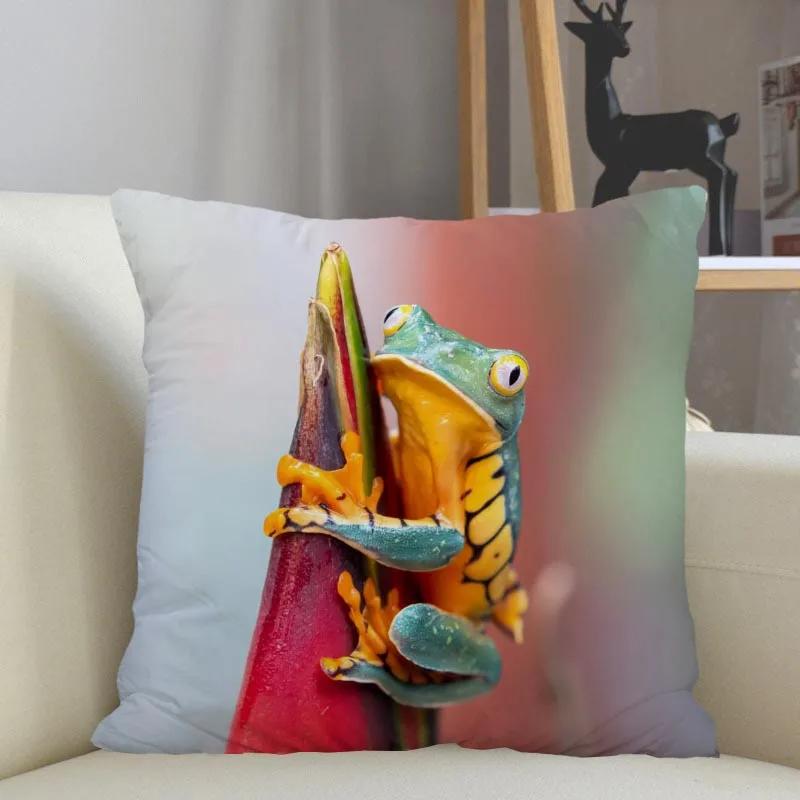 Frog Animal Pillowcase Home Decor Zipper Square  Throw  Drop Shipping