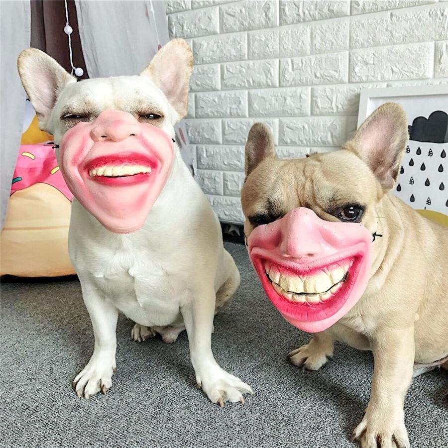 New Pet Dog Funny Mask Spoof Mouth Cover Laughing Lip and Head Cover Dog Accessories