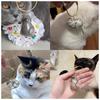 1pc 3D Cat Hair Dog Hair Transparent Storage Box - Keychain Backpack Pendant Pet Cat Kitten Shaped Commemorative Charm Hairball Container