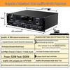 SP2 Home Karaoke Sound System CN Plug (adapter Included)
