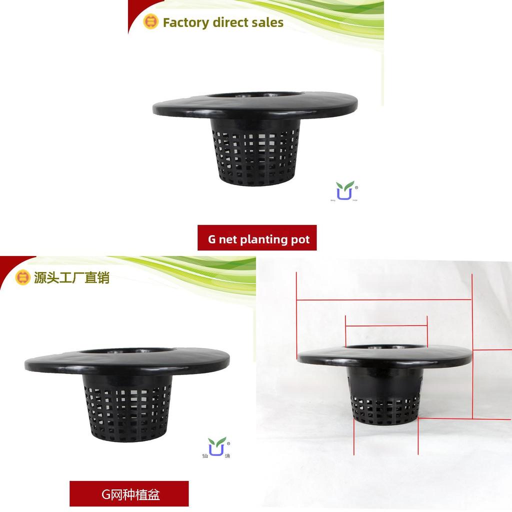 Plastic Breathing Plant Pot With Large Edge For Office Water Cultivation