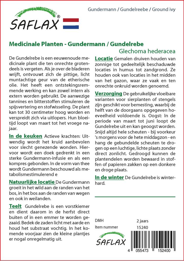 SAFLAX Garden in the Bag – Gemahlener Efeu – 75 Samen – Mit Substrat im passenden Standbeutel – Glechoma hederacea