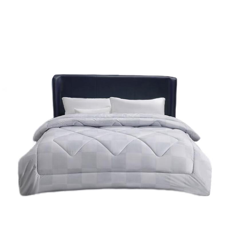 

Mercury Home Textiles Antibacterial All-Season Wool Quilt