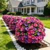 Garden Camp Decor Artificial Morning Glory Flowers with Ground Stake for Outdoor Yard