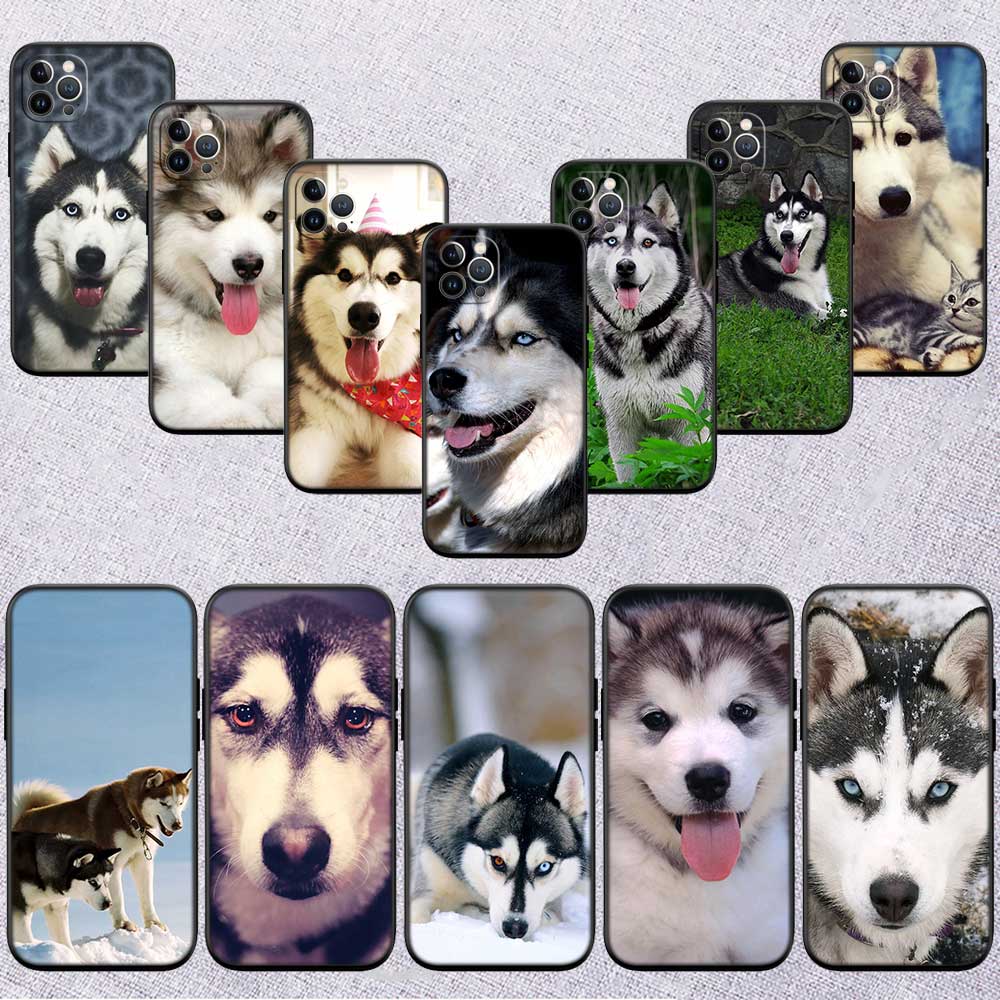 NH32 husky dog New High-End Shell Phone Case for Redmi Note 8 9 Pro Max 9S 9T 9C NFC 8T 8A 10A A4