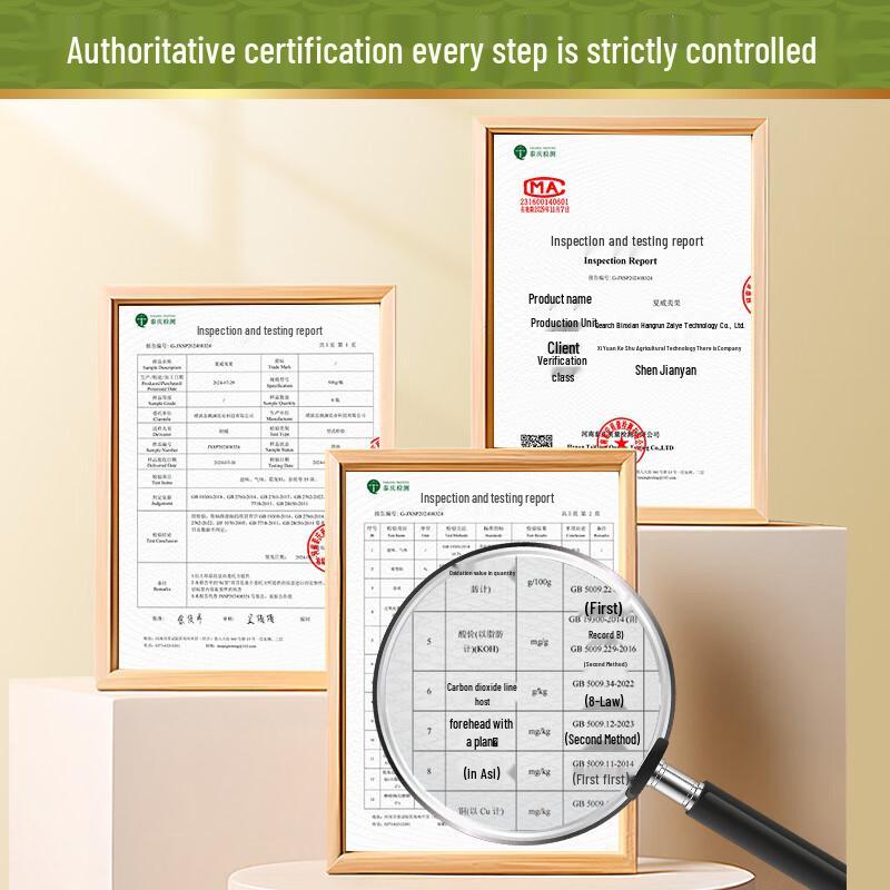 Extra-Large Thin-Shell Creamy Macadamia Nuts, 500g Jar