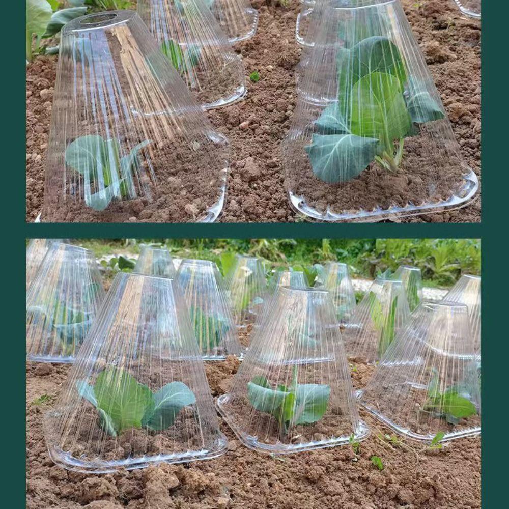 20pcs Windproof Plant Seedling Cover Conical Flower Protector Plant Insulation Cover  Frost Guard