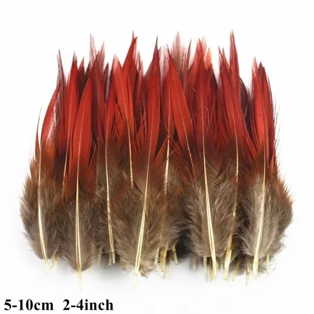 40/48Pcs Assorted Mixed Feathers Long Pheasant Plumage Natural Feathers Bulk  Handmade Dream Catcher