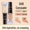 Flawless Coverage Concealer