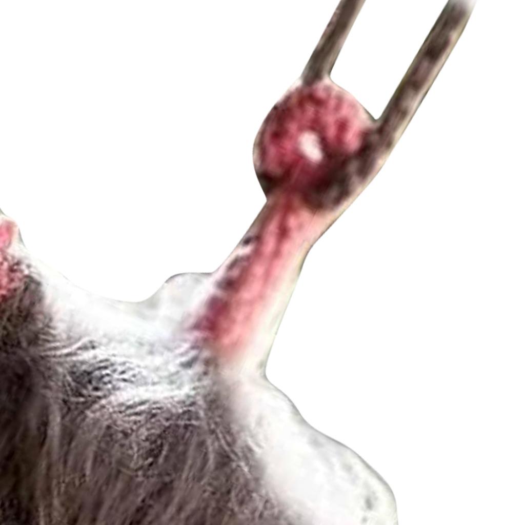 Possum Car Hanging Ornament Cute Screaming Opossum Mirror Accessory Decor Rearview Interior Decoration Model A