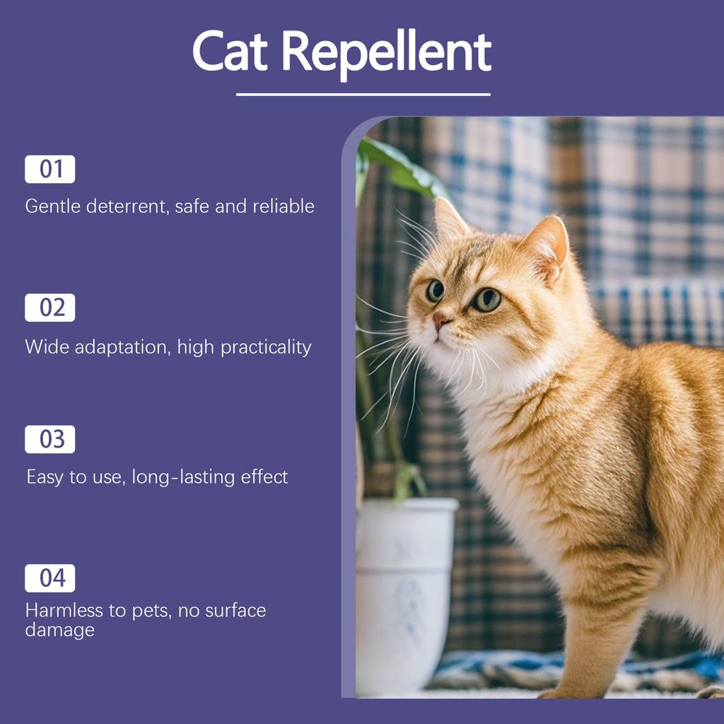 Spray, Furniture Scratch Prevention, Suitable For Both Indoor And Outdoor Use,100ml