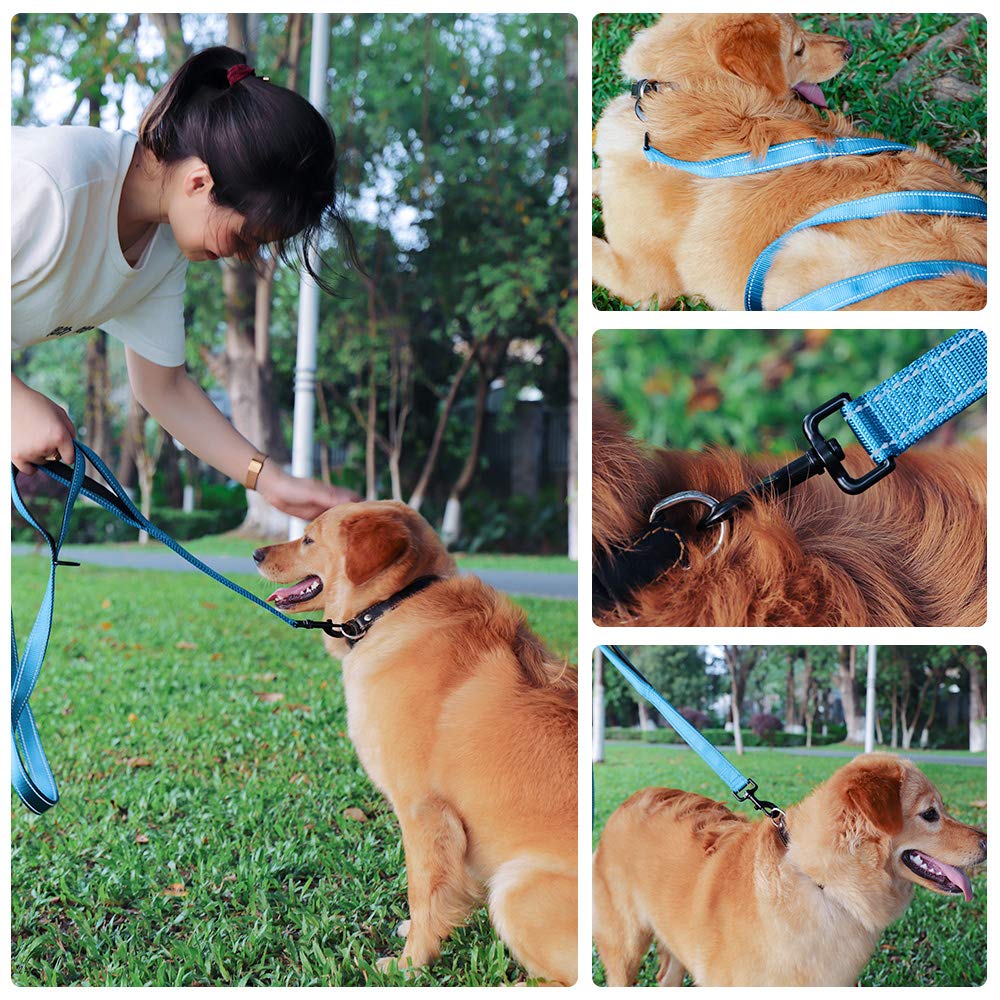 MOE Dog Large and Medium Dog 2 Long Reflective Nylon Walking Training Reflective Dog Training Lead Lead, Lead, Handles, Adjustable, Lead, Material,