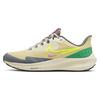 Air Zoom Pegasus 39 Shield Team Gold Volt Men Sneakers Cream Coconut-Milk FD9913-771