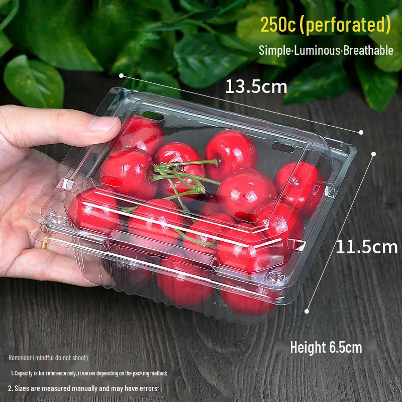 Shixun Disposable Plastic Fruit Packaging Box