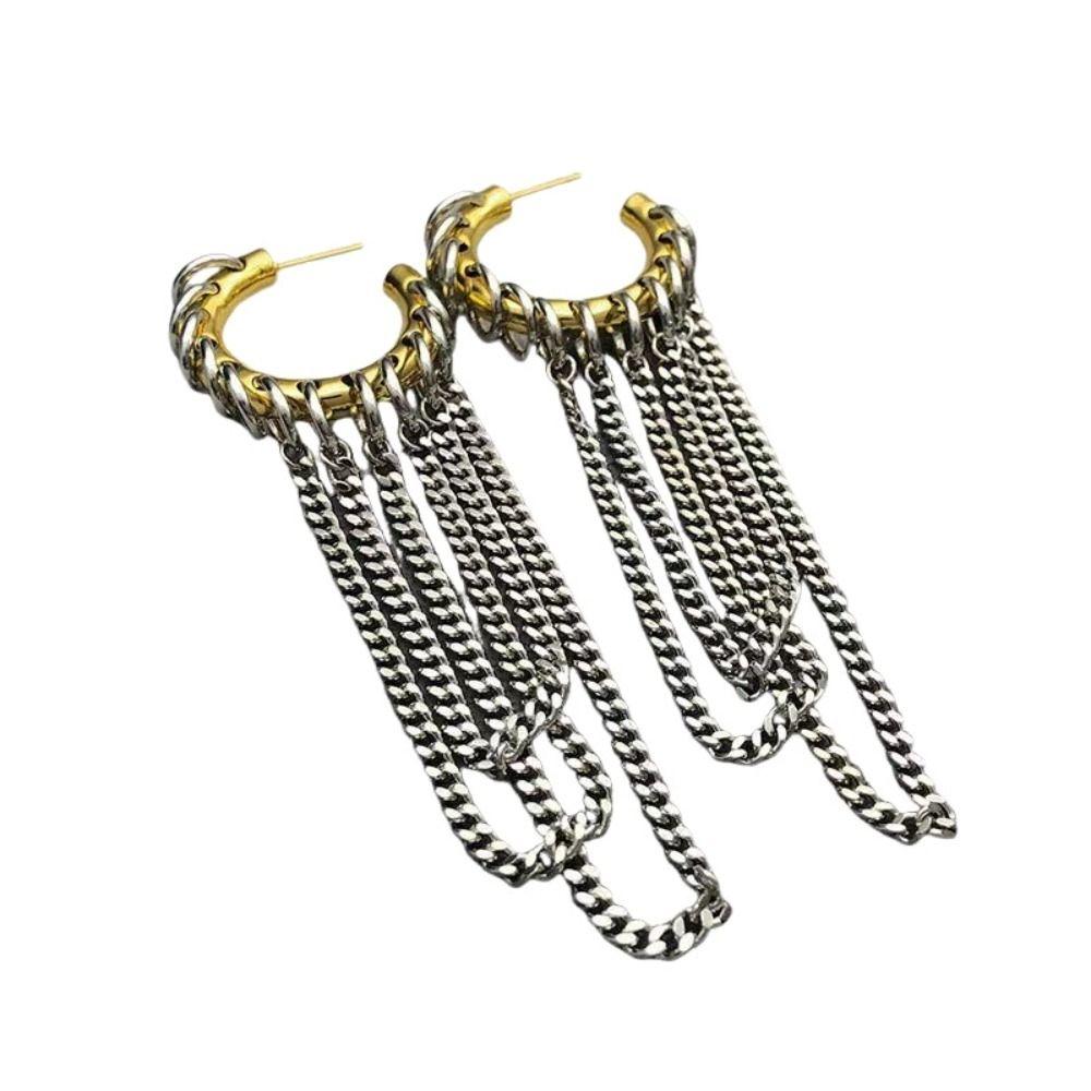 Exaggerated Long Tassel Earrings Vintage Hip-Hop Jewelry Accessories Punk Earrings  for Women