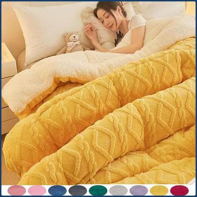 HOT New Velvet Autumn Winter Warm Sleeping Blanket Soft Comfortable Flannel Fleece Blankets for Bed Cozy Fluffy Warmth Blanket