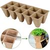  Peat Pots Seed  Trays Seedling Pots Germination Trays 10 Cells
