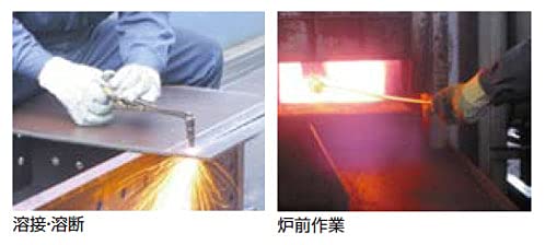TG-L Heat Resistant Gloves L