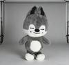 50CM Stray Kids Teddy Plush Hug Pillow Doll Fans Gift Plush Toy Seoul FM Week Cloak Doll Magic School Kid Birthday Gift