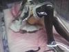 Sega Prize He Is My Master High Grade Figure Set 2 Kawaii from Japan