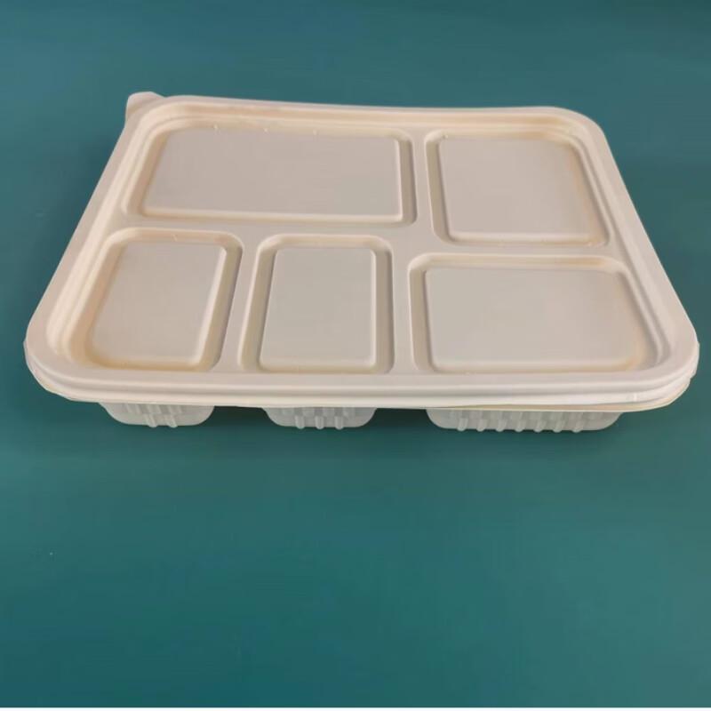 Biodegradable 5-Compartment Meal Prep Container