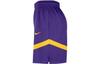 Nike Basketball Shorts Men's Dark Purple DZ3722-504