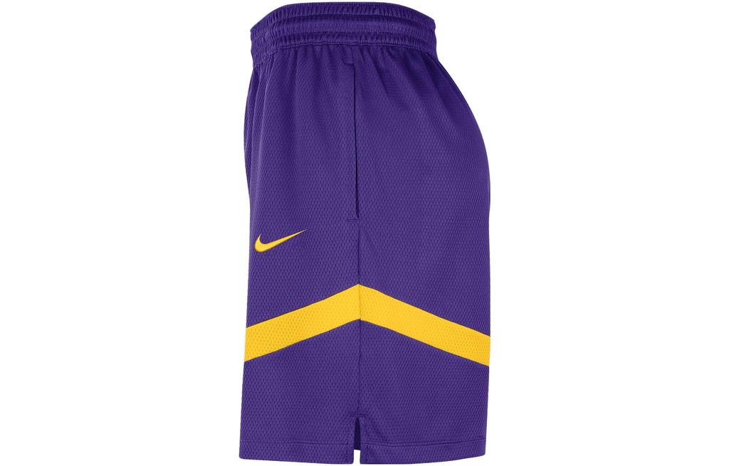 Nike Basketball Shorts Men's Dark Purple DZ3722-504