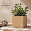 MOJY Square Cement Gray Magnesium Clay Planter