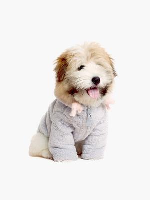 Vêtements et chaussures – Vestes et manteaux pour chien