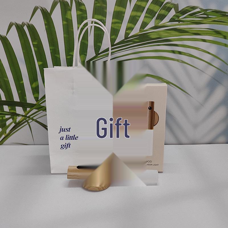 Rechargeable LED Motion Sensor Night Light for Bathroom or Corridor