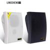 Lingsheng WS-570 Wall-Mounted PA Speaker CN Plug (adapter Included)